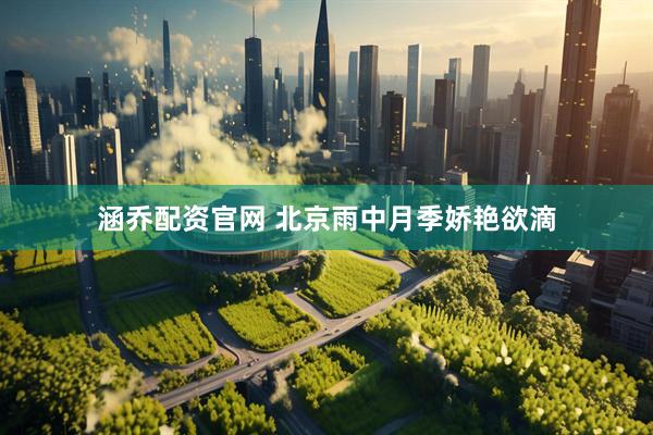 涵乔配资官网 北京雨中月季娇艳欲滴