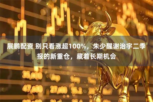 展鹏配资 别只看涨超100%，朱少醒谢治宇二季报的新重仓，藏着长期机会