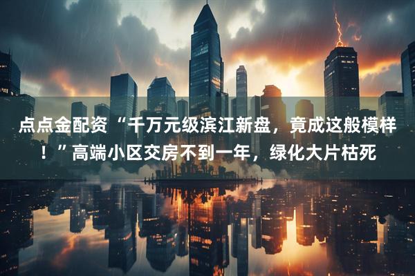点点金配资 “千万元级滨江新盘，竟成这般模样！”高端小区交房不到一年，绿化大片枯死